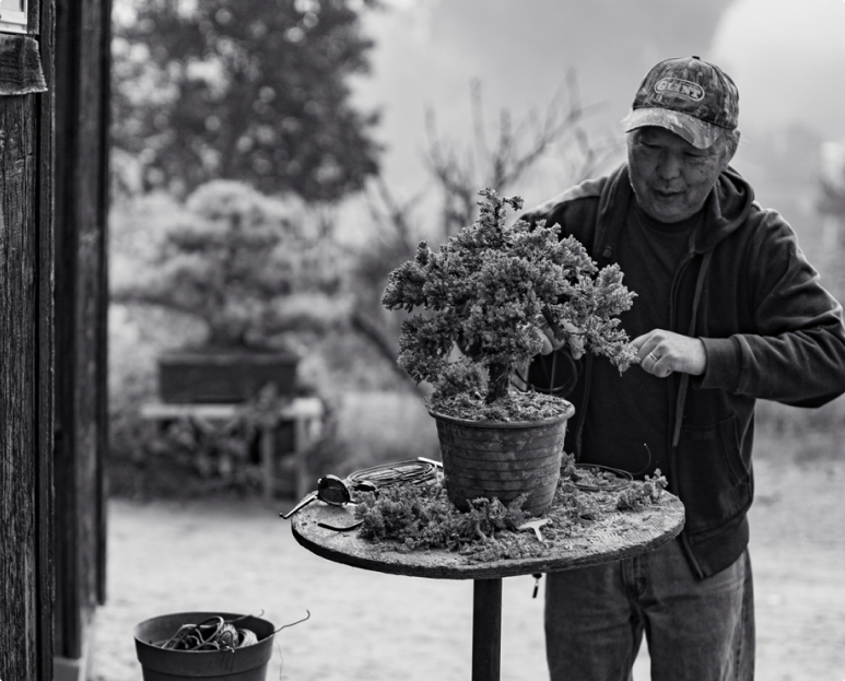 George Muranaka at the nursery